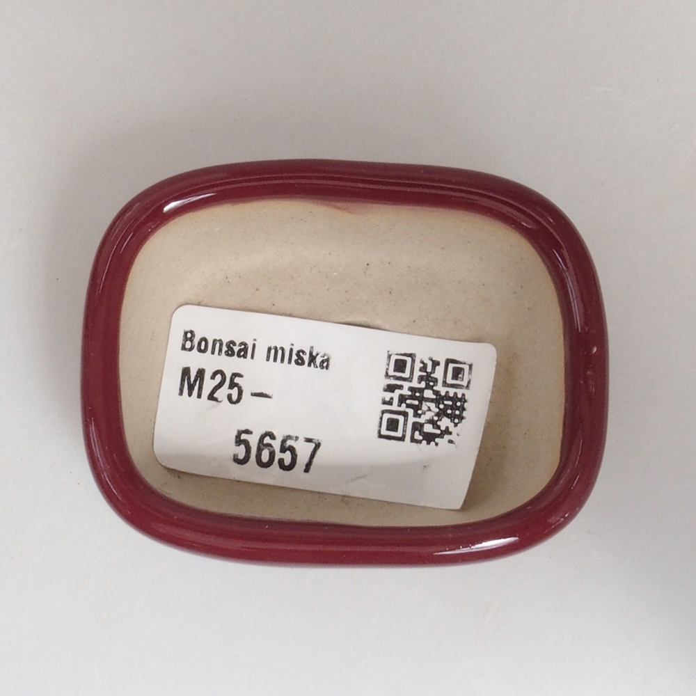Mini bonsai bowl 5,5 x 4,5 x 2 cm, color burgundy