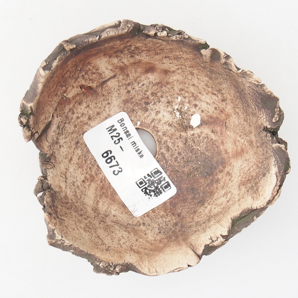 Ceramic Shell 9 x 9 x 5,5 cm , colour green