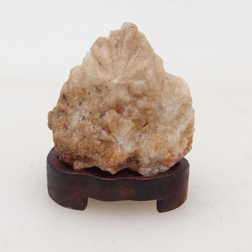 Suiseki - Stone with DAI (wooden pad)