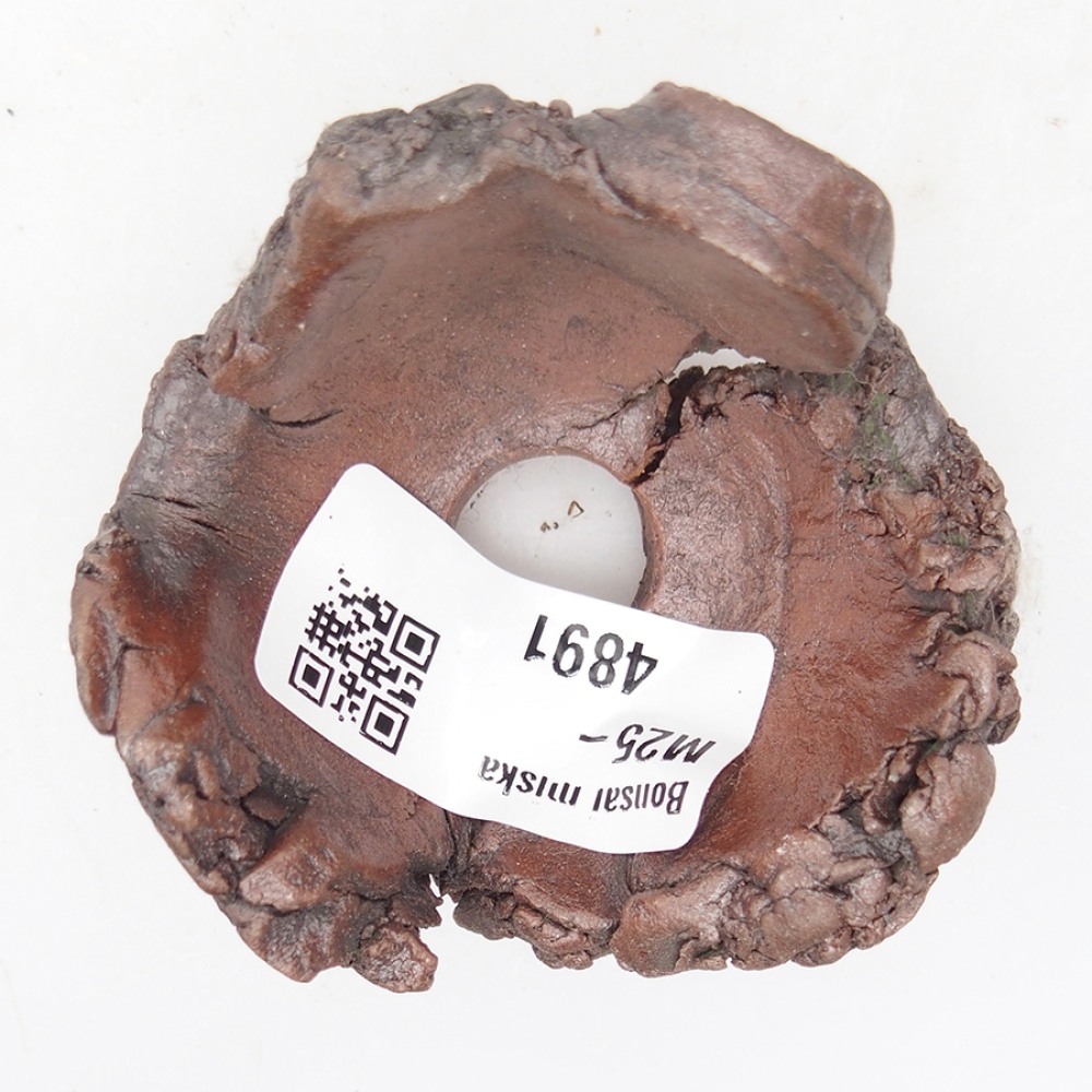 Ceramic shell 6 x 6 x 4 cm, color brown