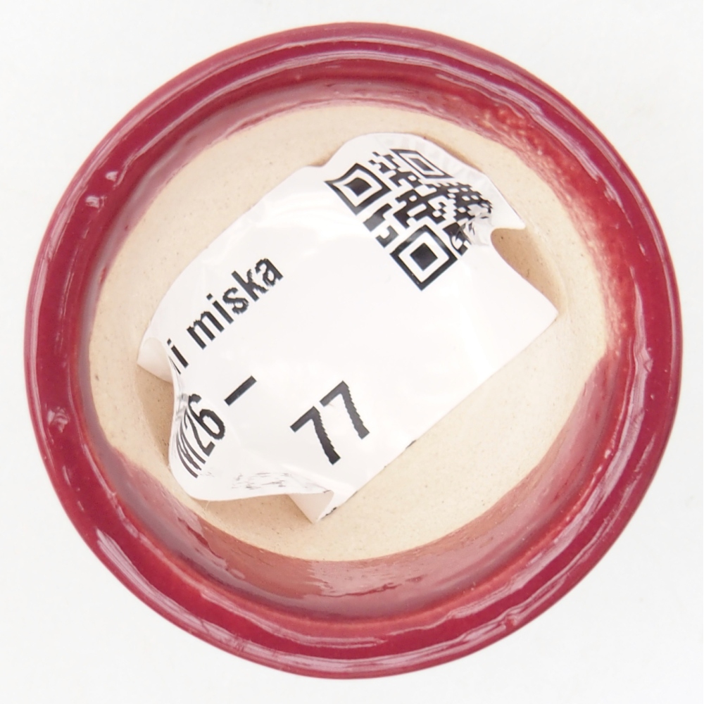 Mini bonsai bowl 4 x 4 x 2 cm, burgundy