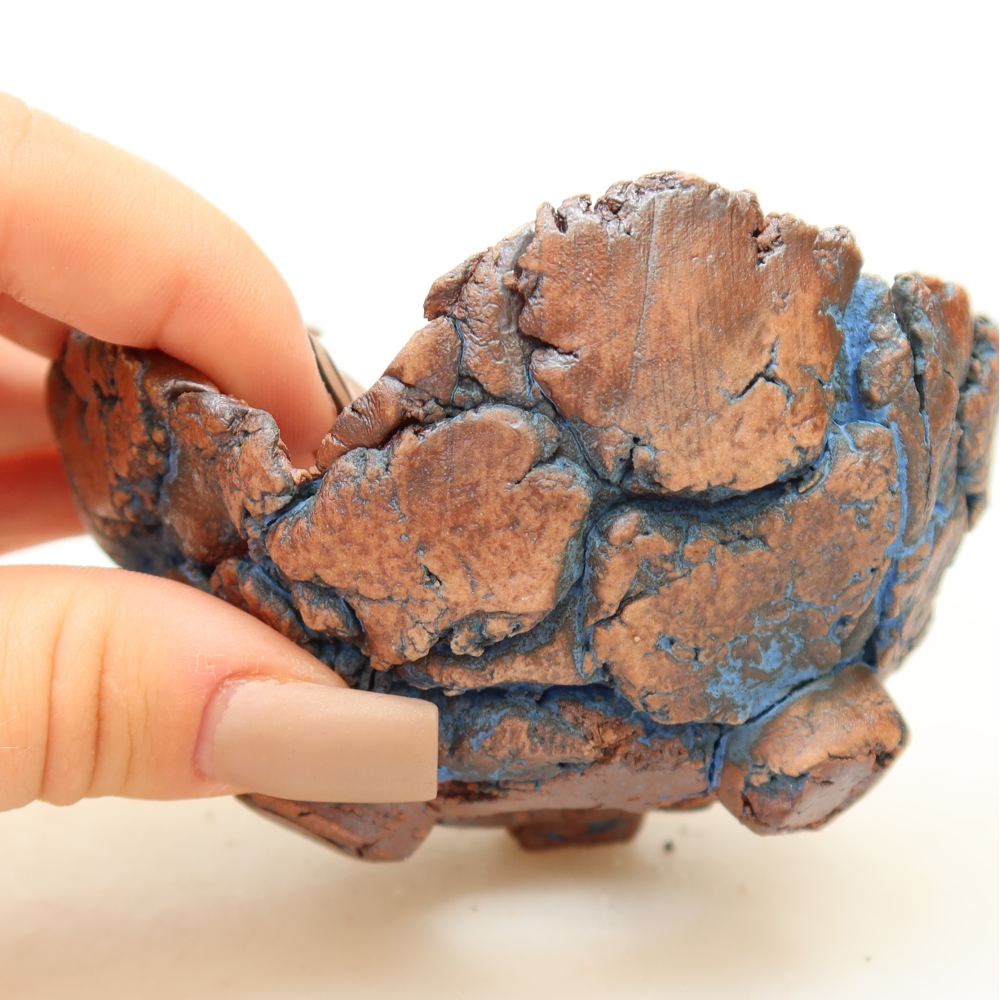 Ceramic Shell, 9 x 8.5 x 5 cm, blue