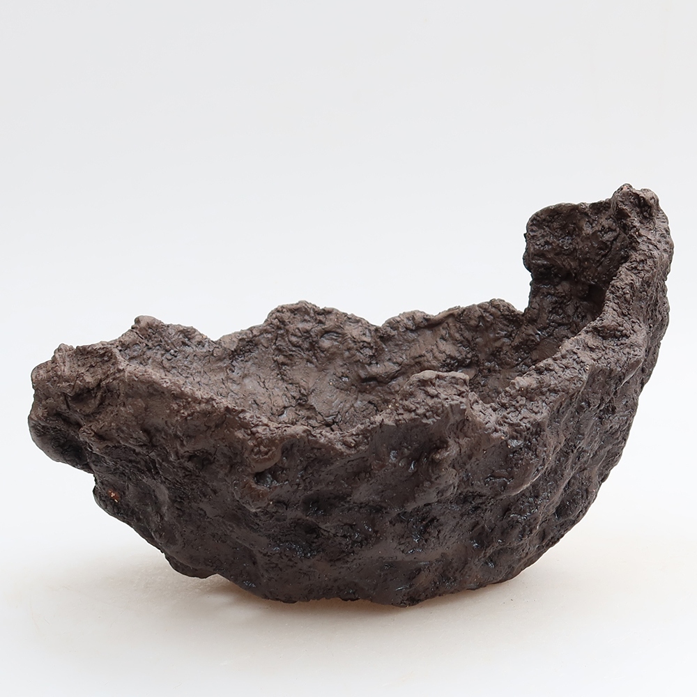 Ceramic Shell, 20 x 16 x 13 cm, brown