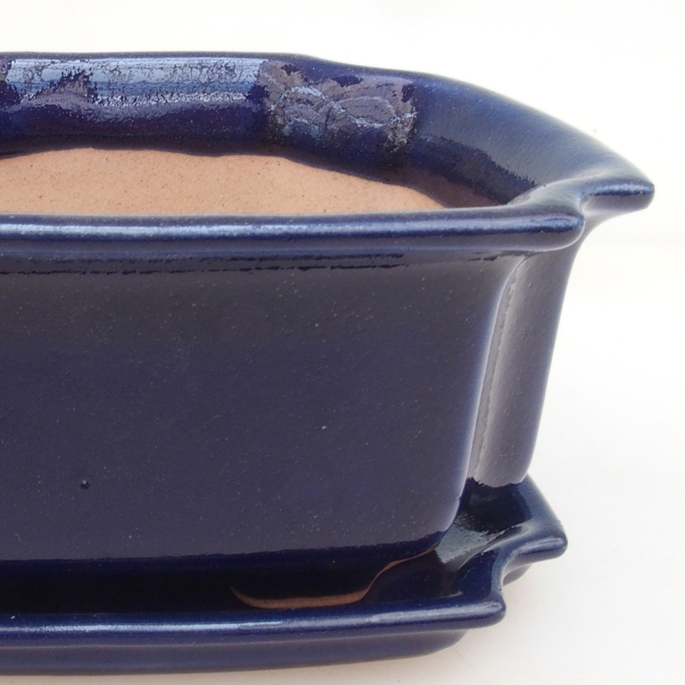 Bonsai bowl + bowl H01 - blue