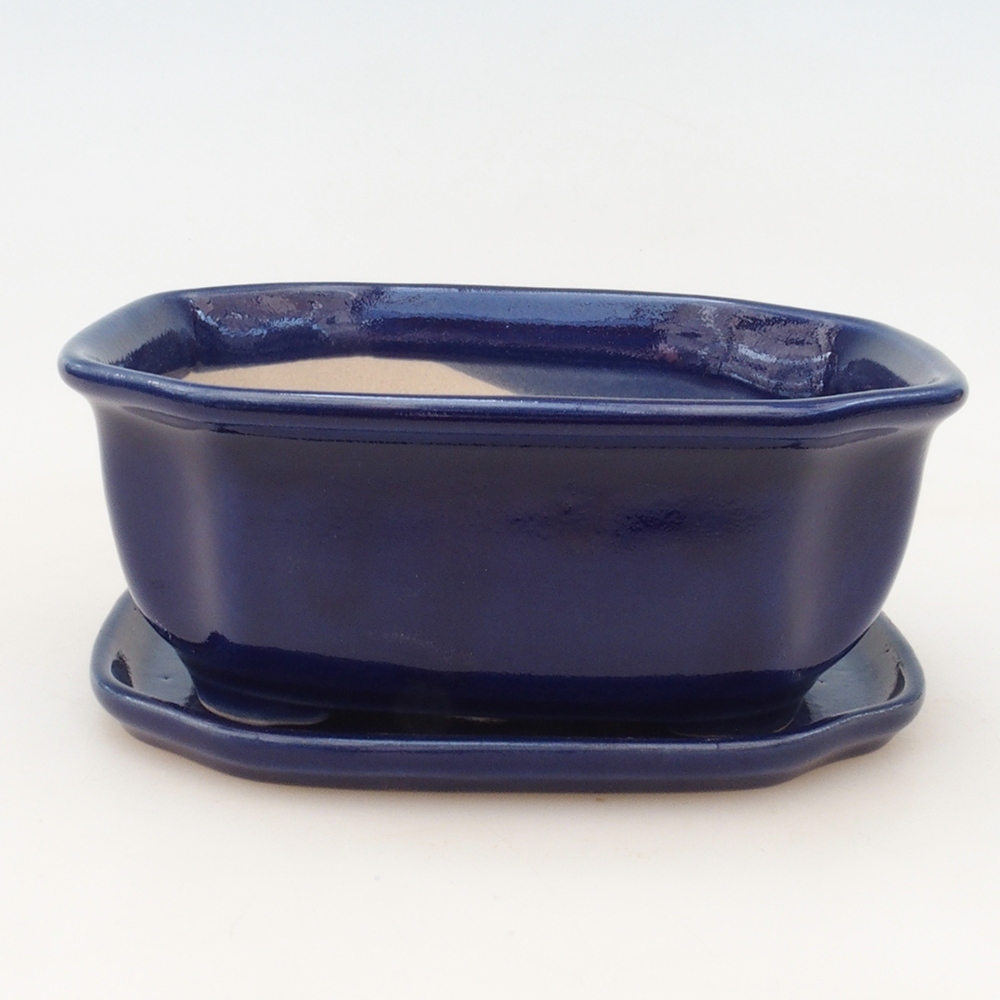 Bonsai bowl + saucer H32 - blue