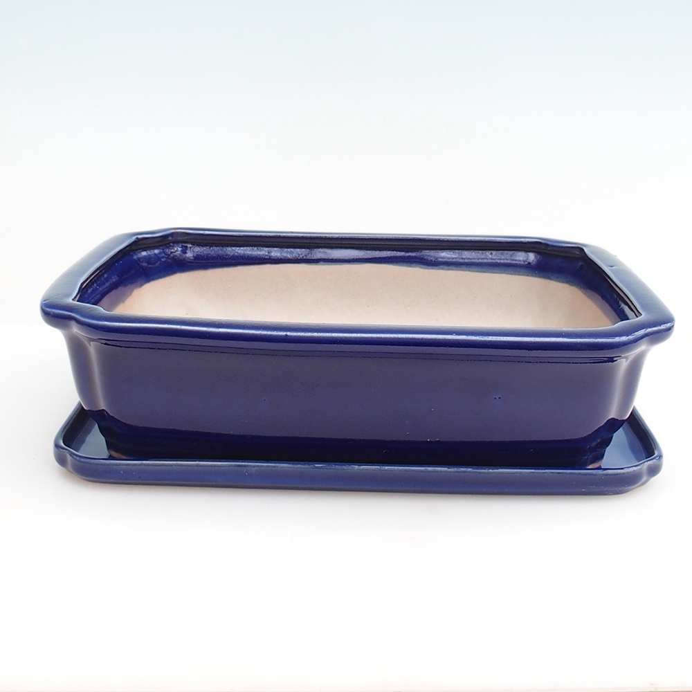Bonsai bowl + saucer H20 - 26,5 x 21,5 x 6,5 cm. - blue