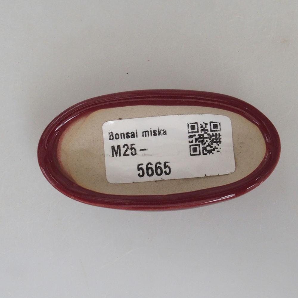 Mini bonsai bowl 7 x 3 x 2 cm, color burgundy