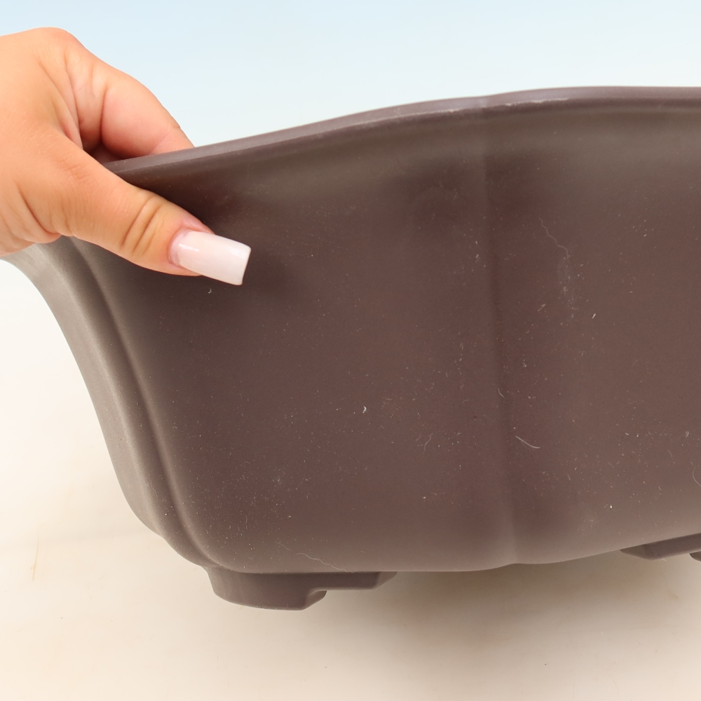 MP-31 Brown Plastic Bonsai Pot - 39.5 x 37.5 x 14.5 cm