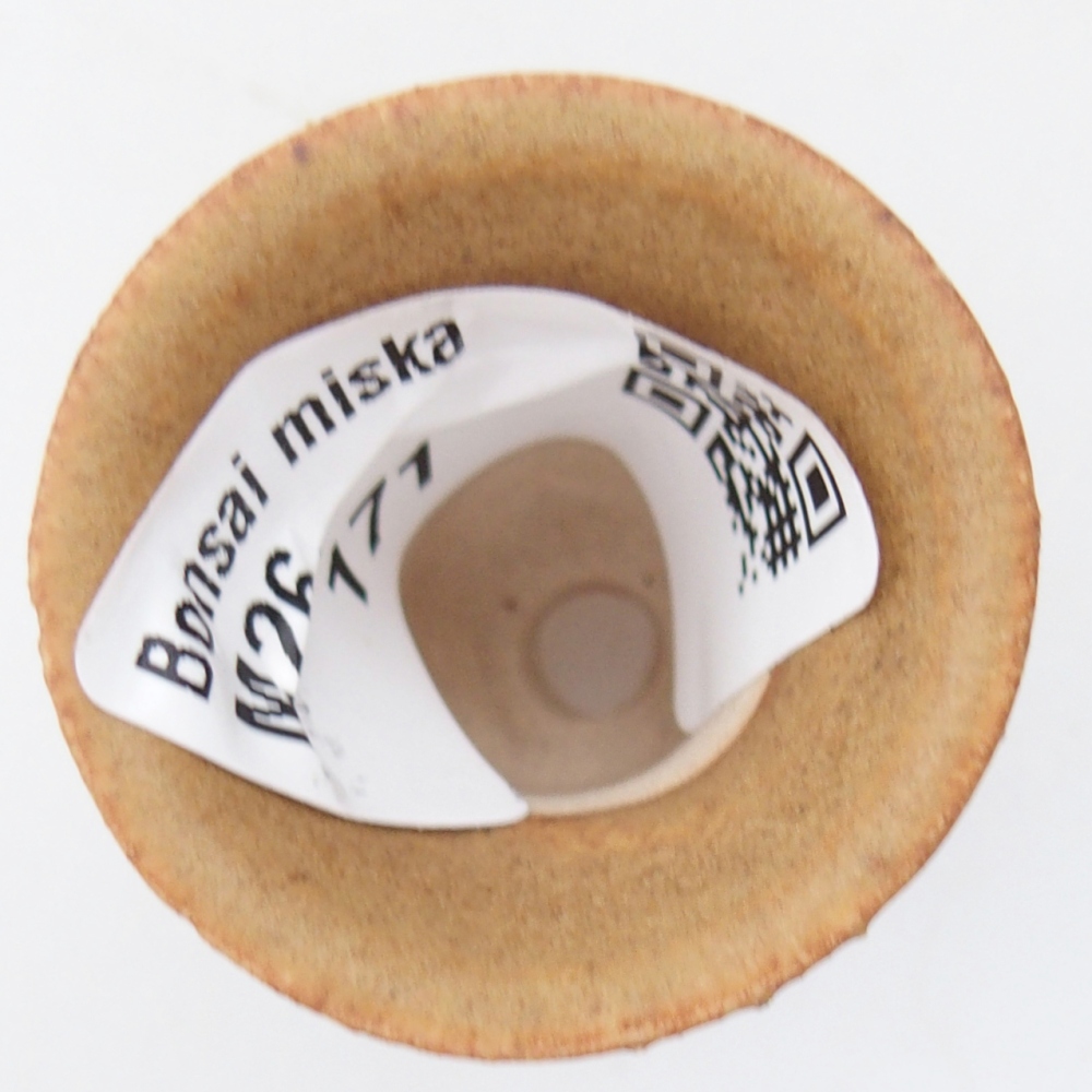 Mini bonsai bowl 3 x 3 x 3,5 cm, brown
