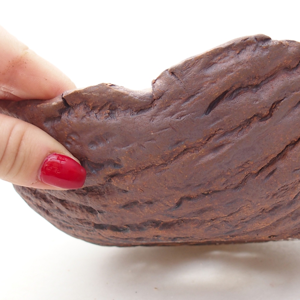 Ceramic shell 19 x 17 x 7 cm , colour brown