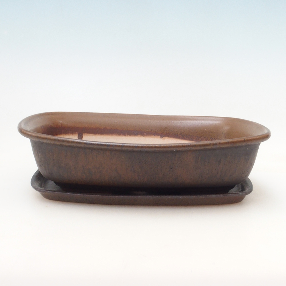 Bonsai pot + saucer H08 - 25 x 19.5 x 6 cm. - brown