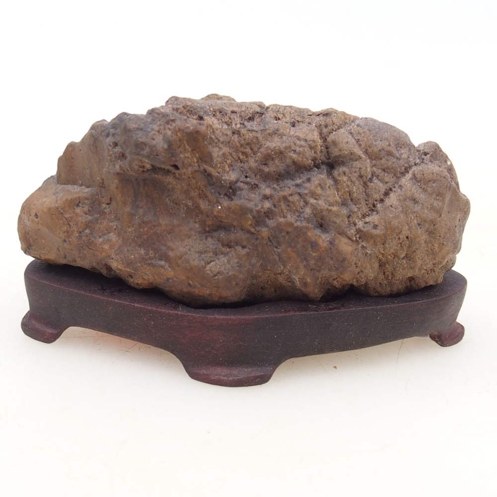 Suiseki - Stone with DAI (wooden pad)