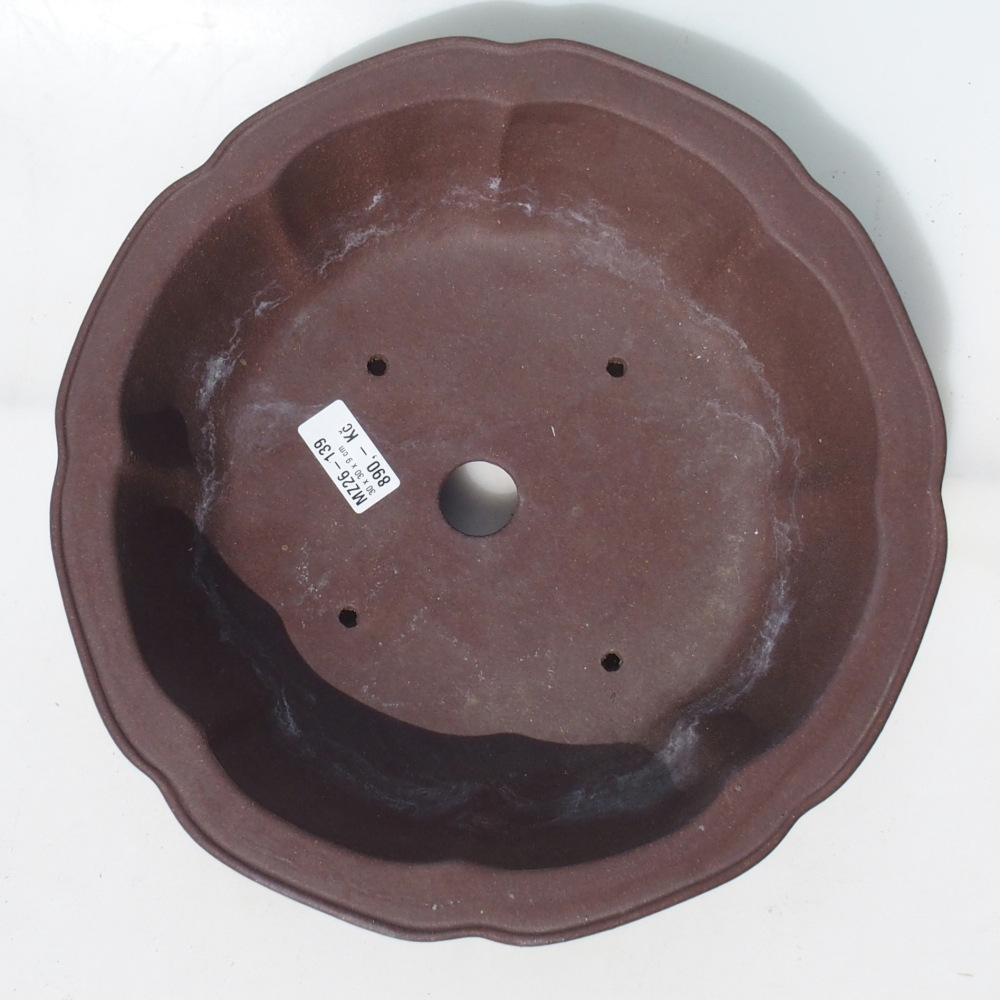 Bonsai bowl 30 x 30 x 9 cm birch brown