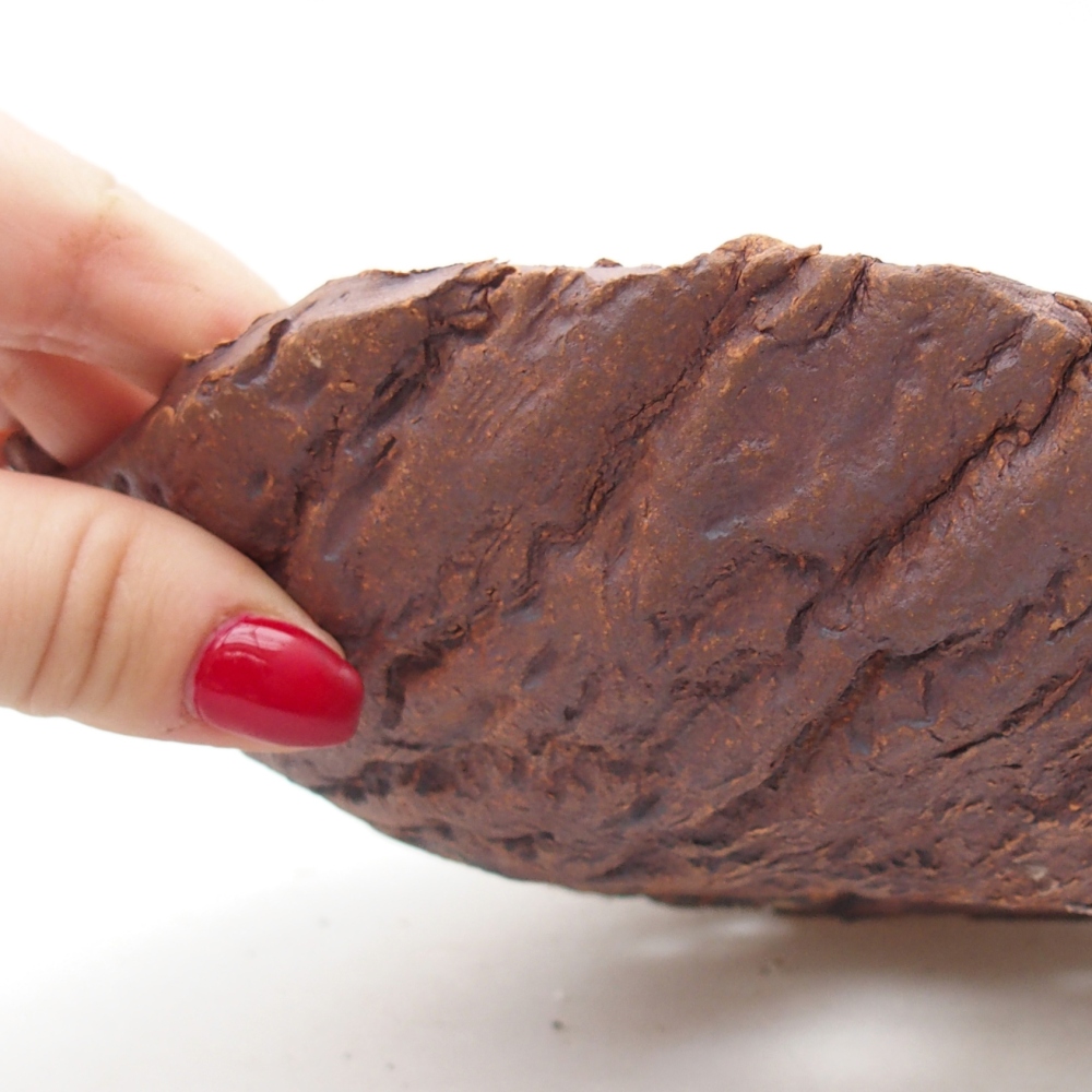 Ceramic shell 19 x 17 x 5 cm , colour brown