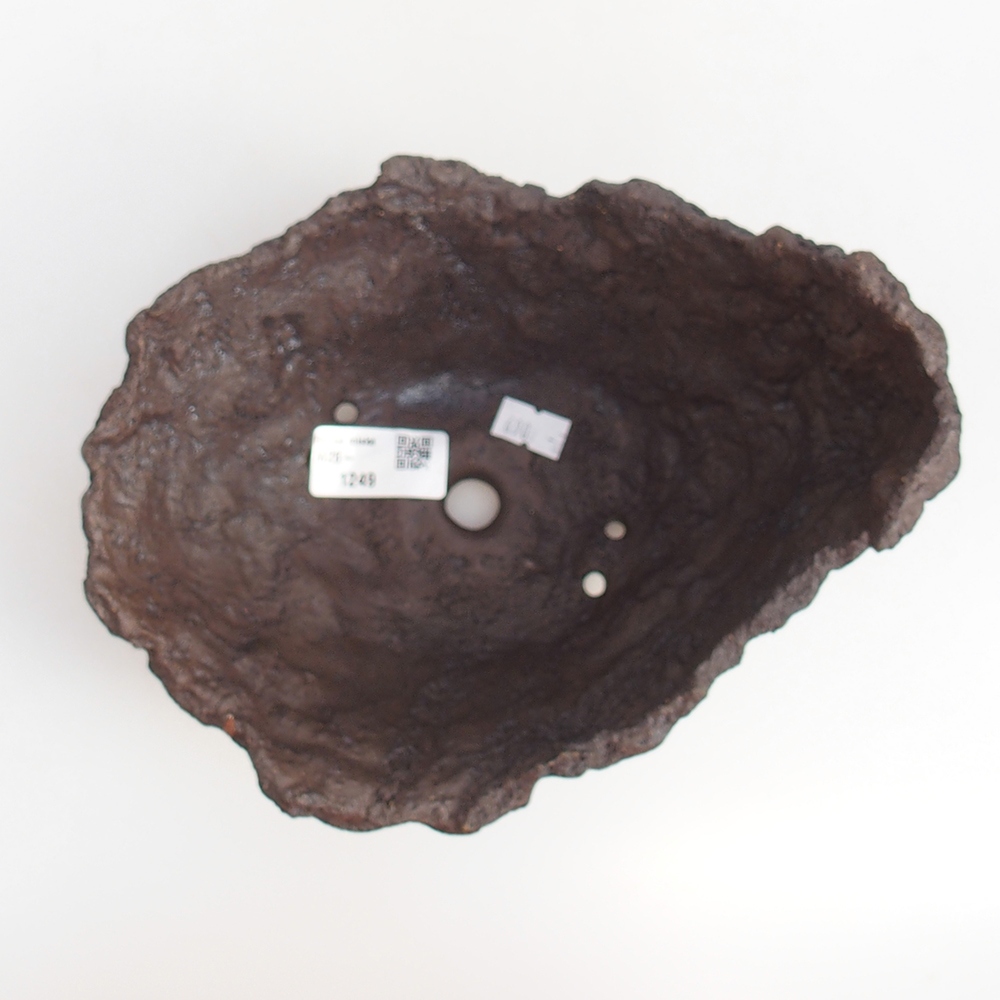 Ceramic shell 19 x 15 x 14 cm , colour brown