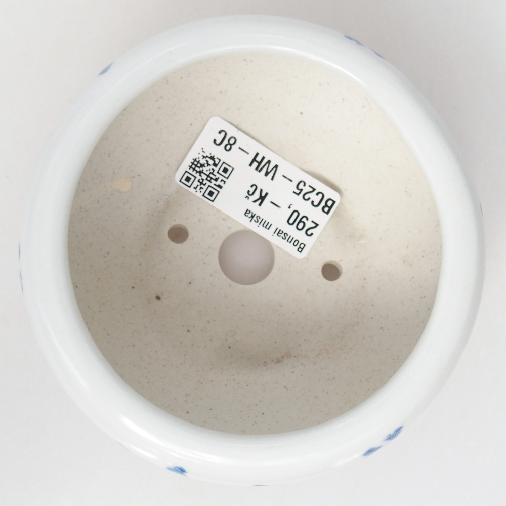 Ceramic bonsai bowl 10 x 10 x 5 cm, colour white