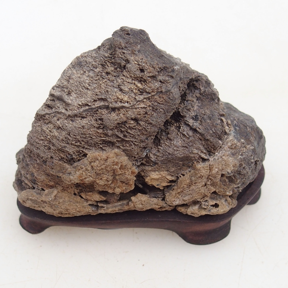 Suiseki - Stone with DAI (wooden pad)