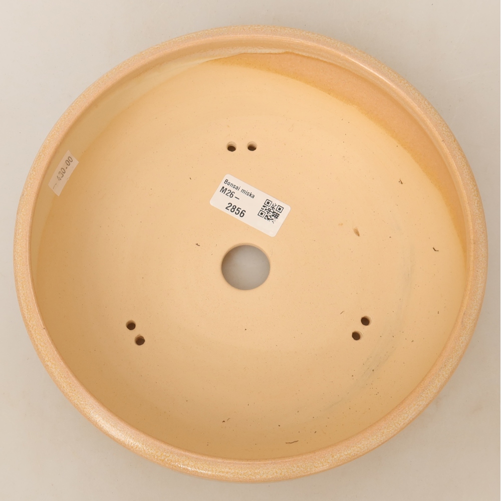 Ceramic bonsai pot, 22.5 x 22.5 x 6.5 cm, beige