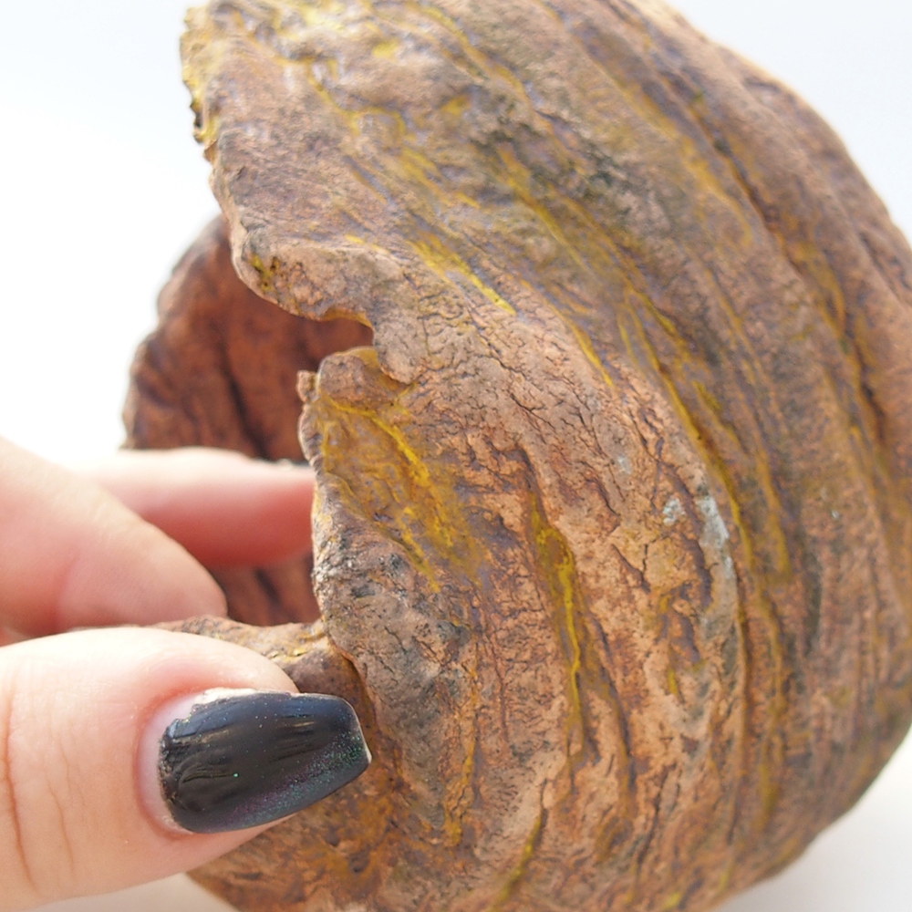 Ceramic Shell 10 x 9 x 12 cm , yellow