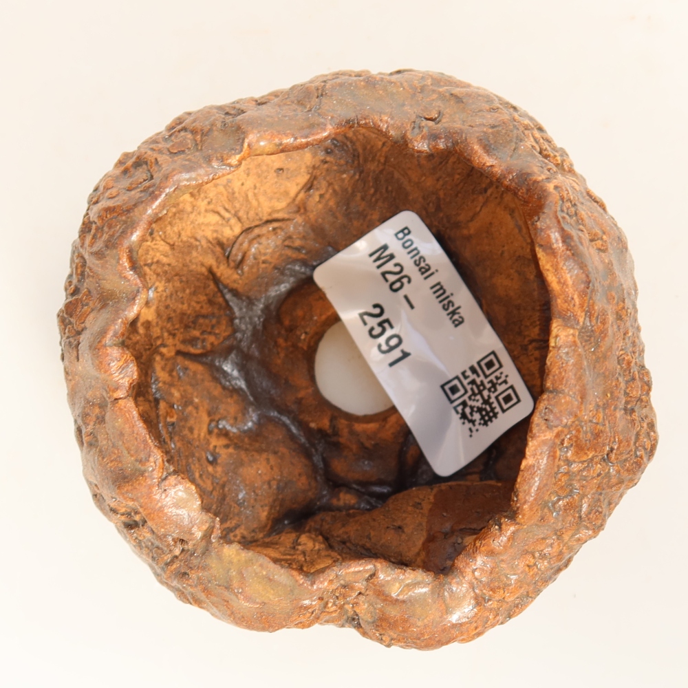Ceramic Shell, 7 x 7 x 5.5 cm, brown