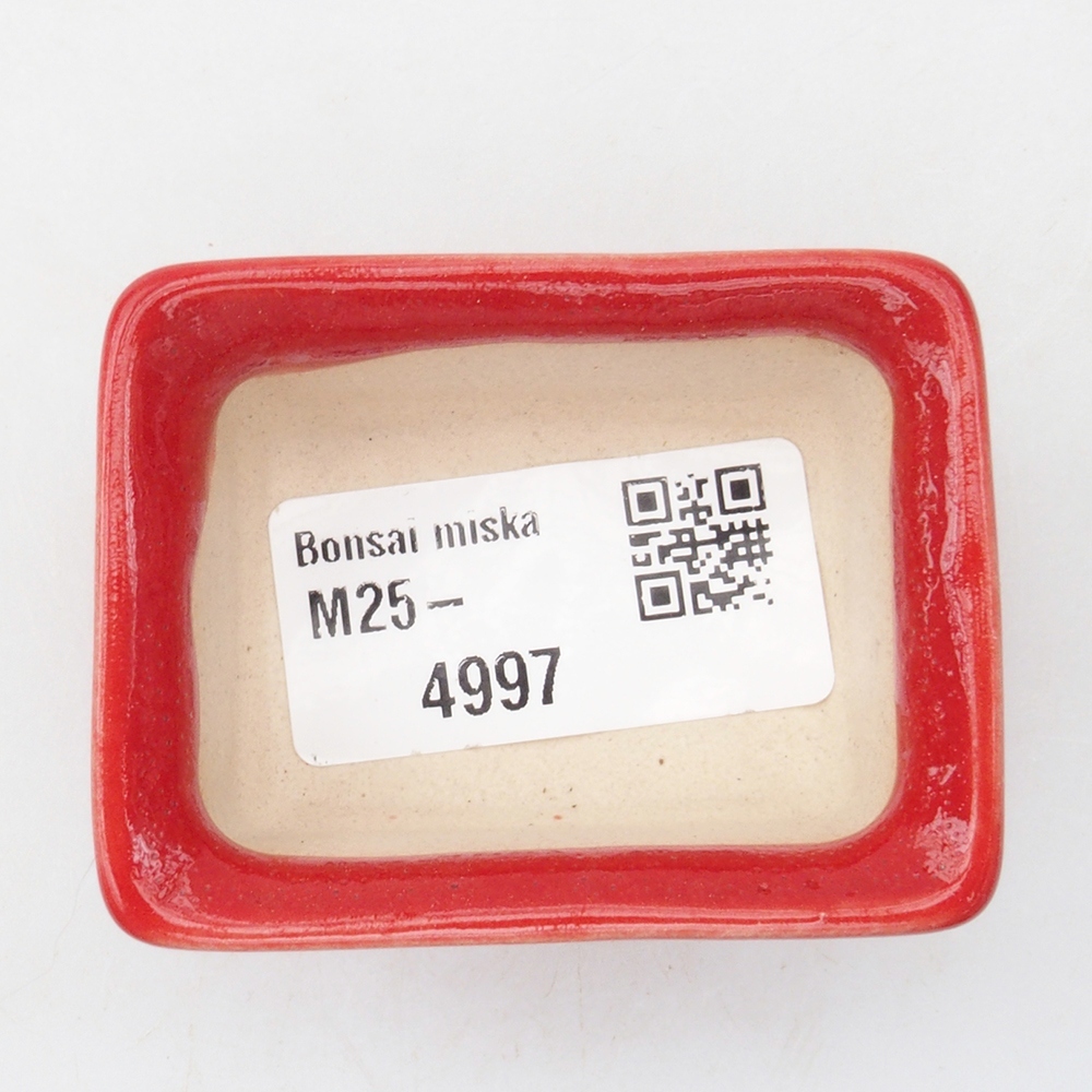Mini bonsai bowl 5,5 x 4 x 2,5 cm, color red