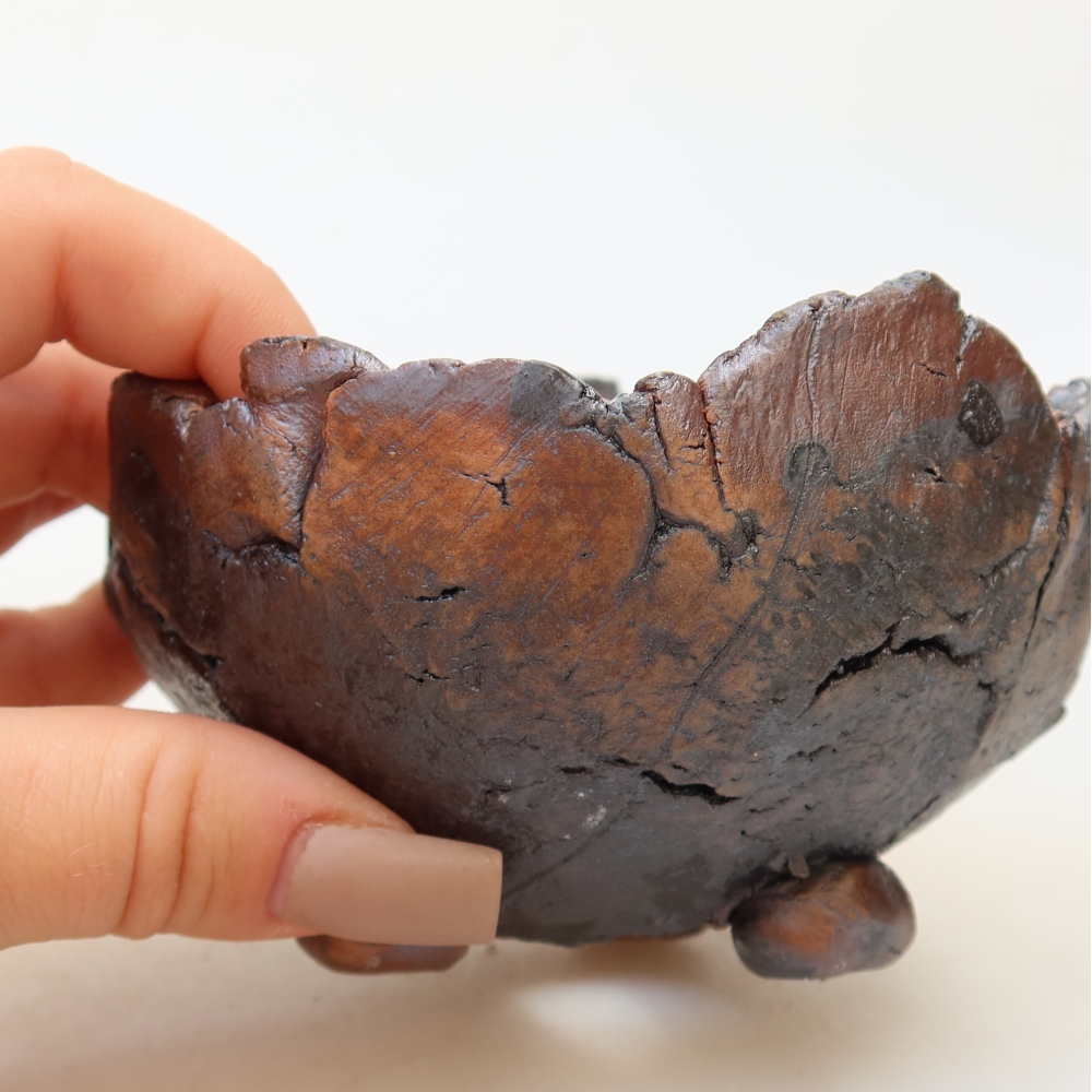 Ceramic Shell, 10.5 x 10.5 x 7 cm, brown