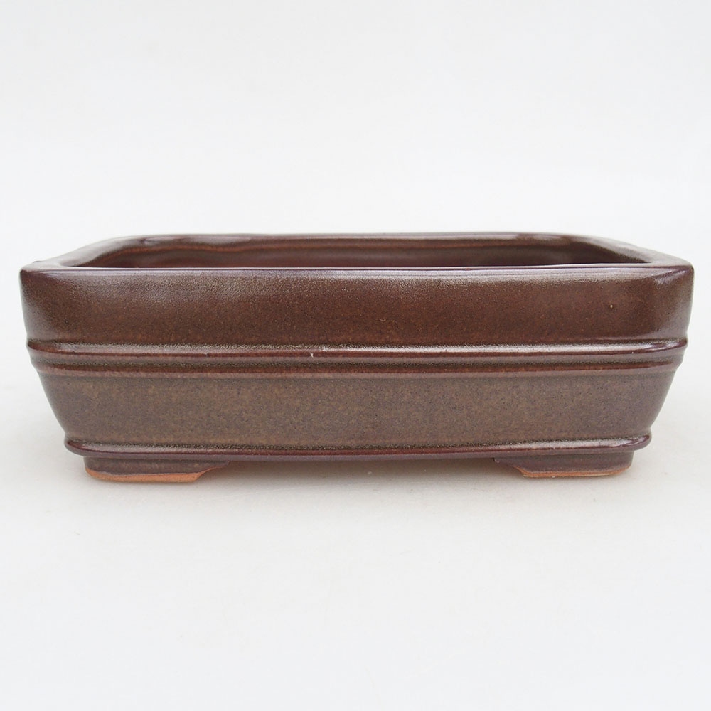 Ceramic bonsai bowl 17 x 12 x 5,5 cm, brown