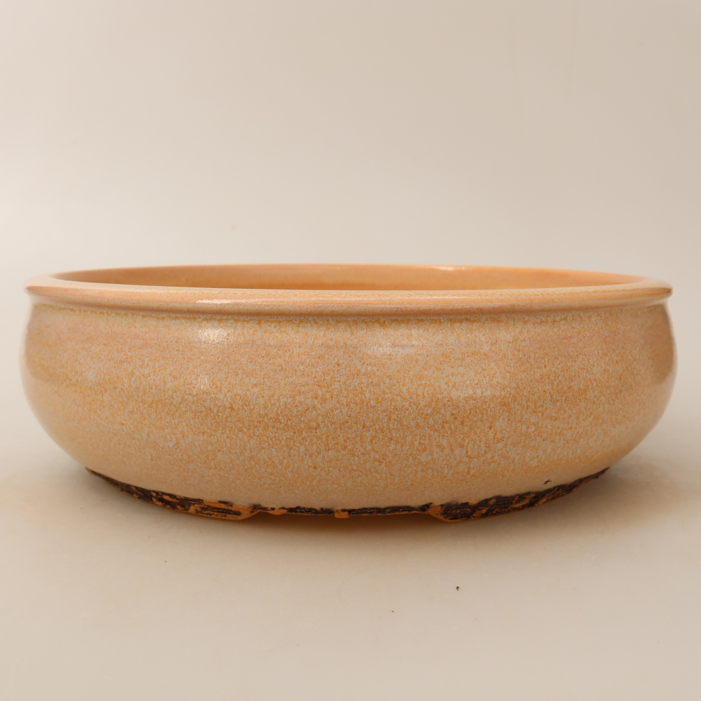 Ceramic bonsai pot, 24 x 24 x 7 cm, beige