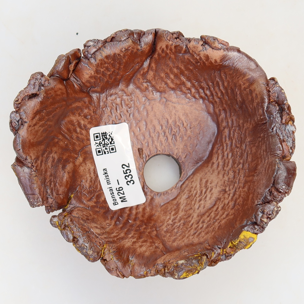 Ceramic Shell  11.5 x 11 x 6 cm, yellow