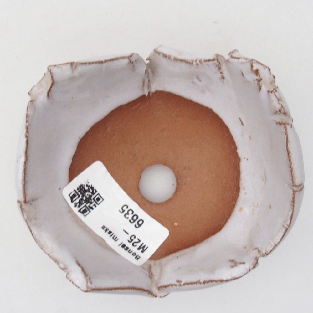 Ceramic Shell 9 x 8 x 5 cm , colour white