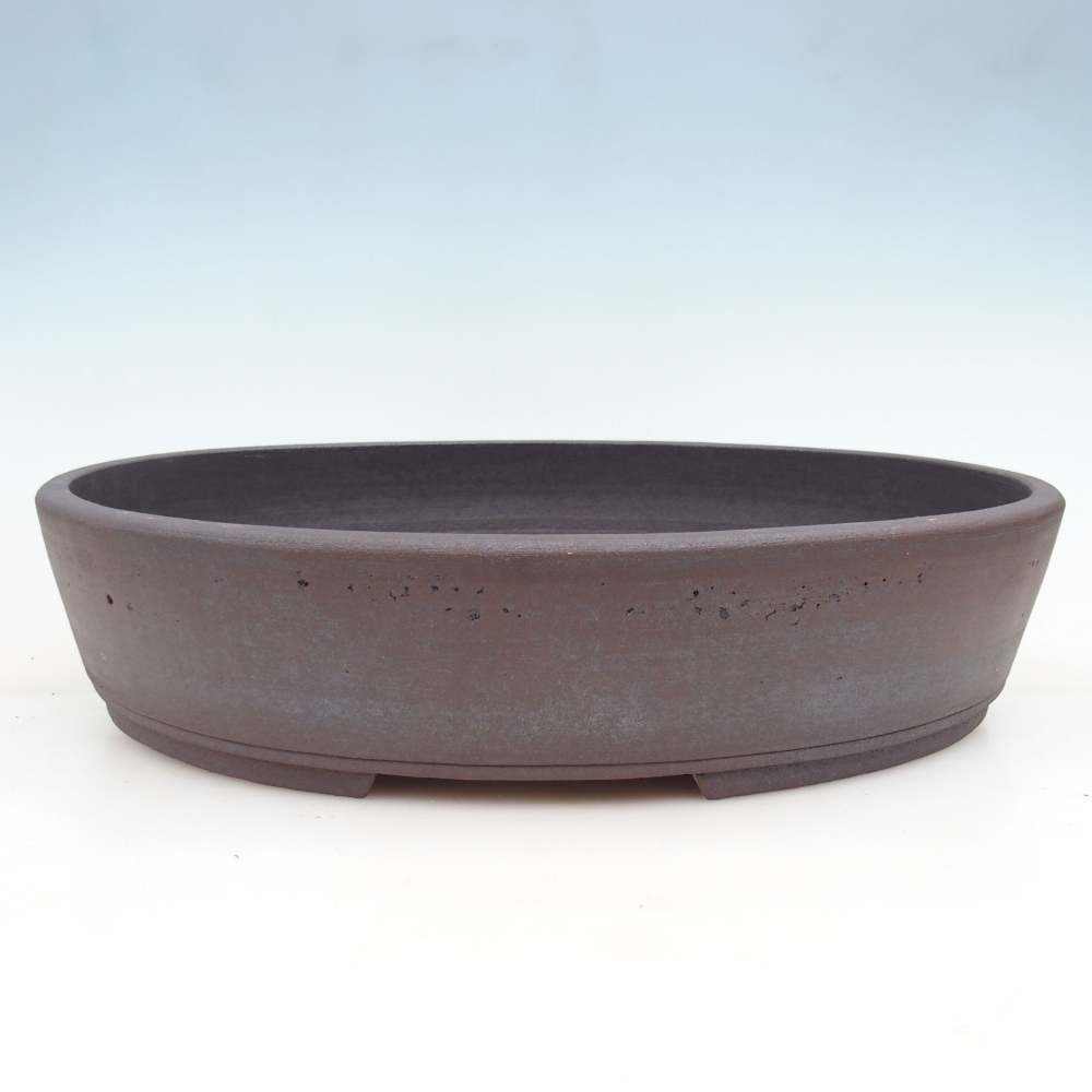 Bonsai bowl 45 x 37 x 9,5 cm , colour brown - ONLY PERSONAL COLLECTION or pallet transport