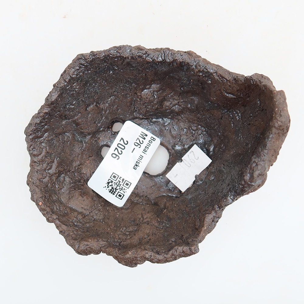 Ceramic Shell, 9.5 x 8.5 x 8 cm, brown