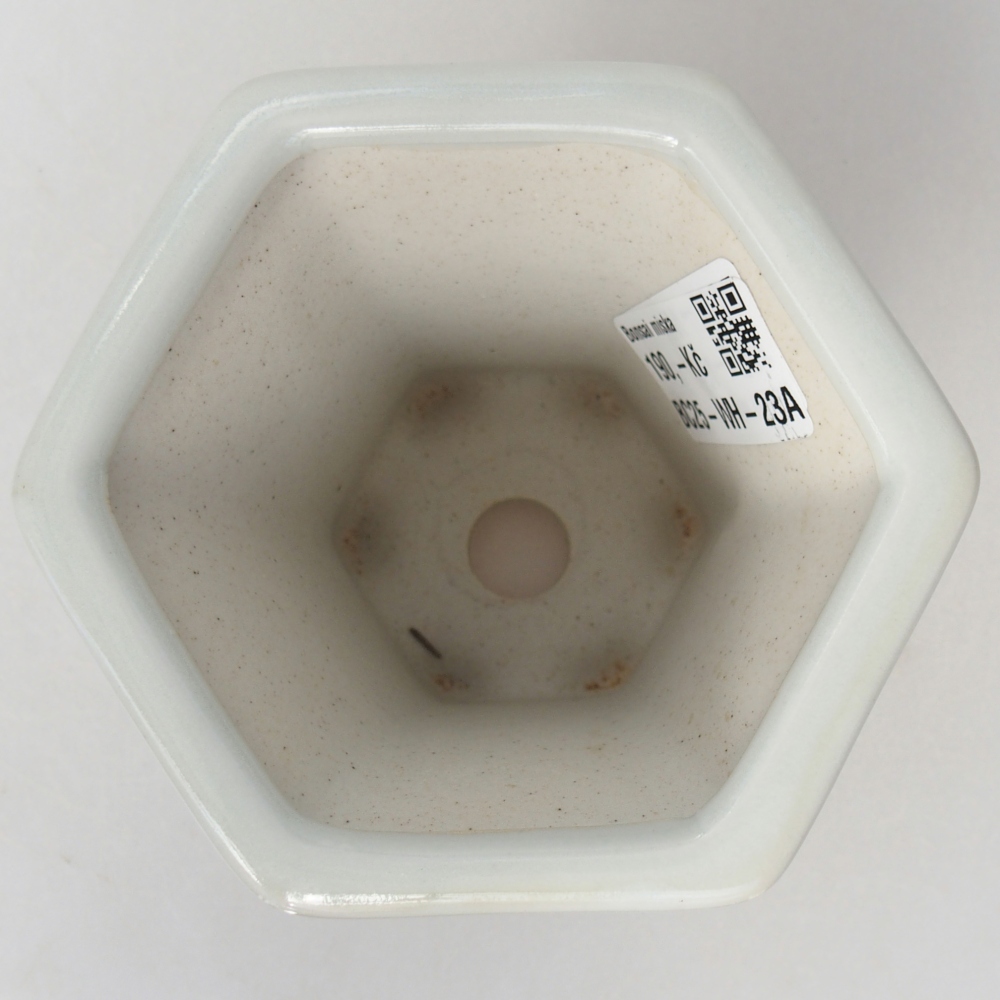 Ceramic bonsai bowl 10 x 9 x 9 cm, colour white