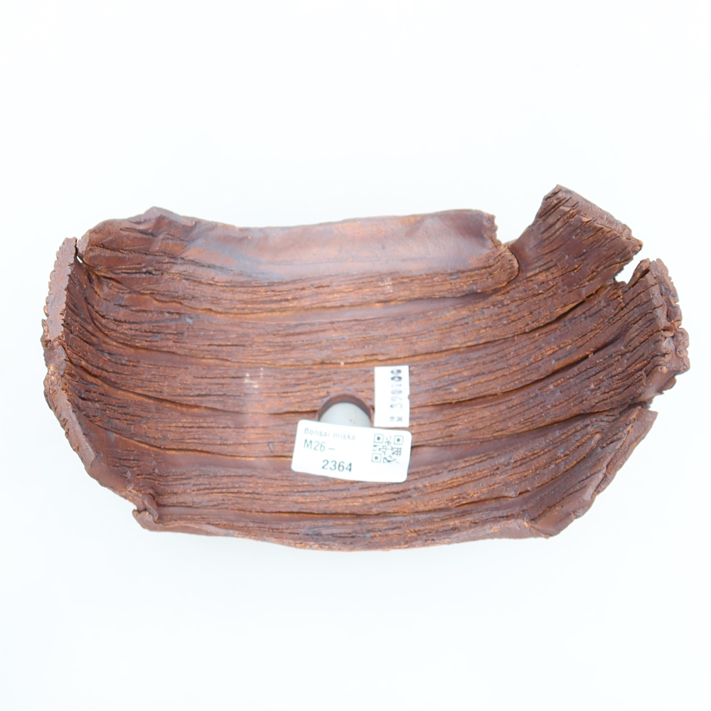 Ceramic Shell  17 x 11.5 x 11.5 cm, brown