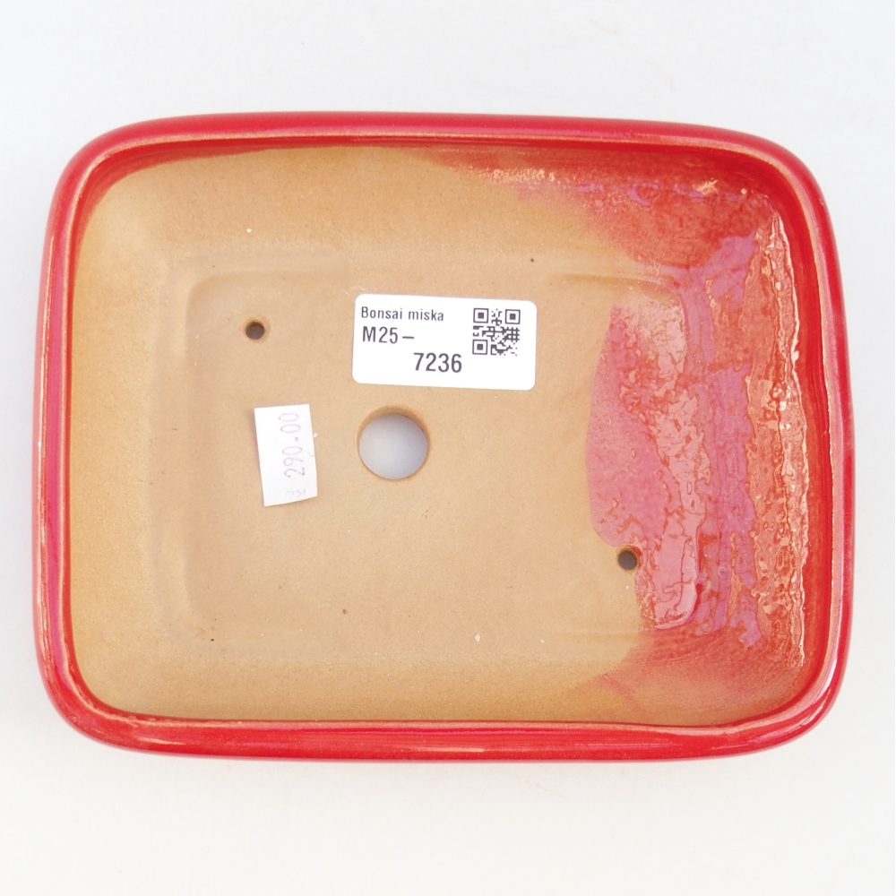 Ceramic bonsai bowl 16,5 x 13,5 x 3,5 cm, colour red