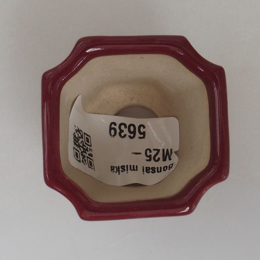 Mini bonsai bowl 4 x 4 x 4 cm, color burgundy
