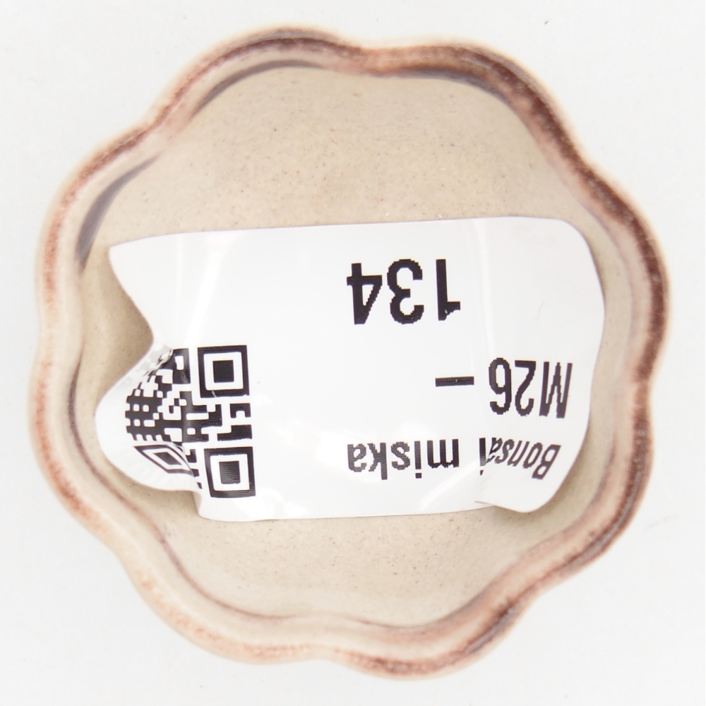 Mini bonsai bowl 4 x 4 x 2 cm, colour red