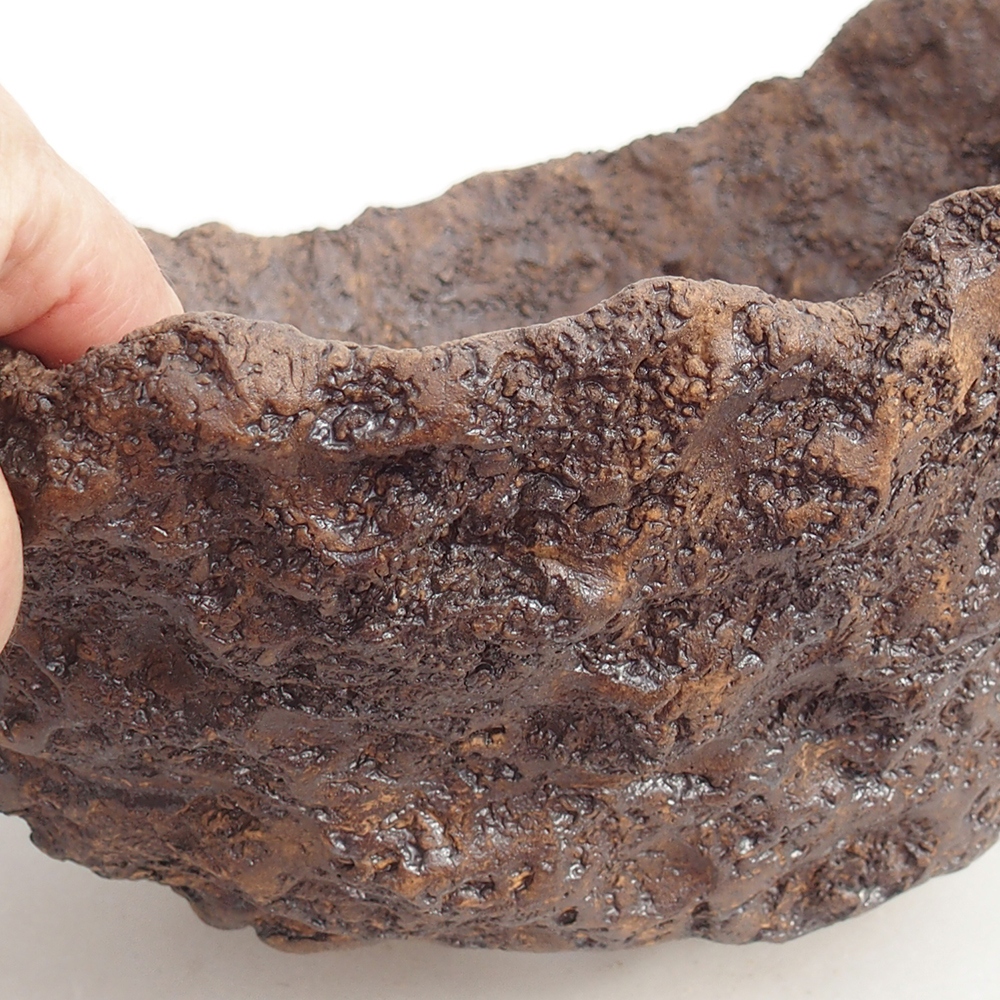 Ceramic shell 19 x 15 x 14 cm , colour brown