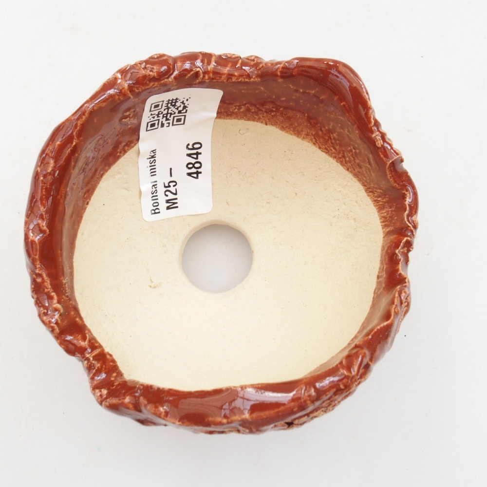 Ceramic shell 8 x 7 x 6 cm, color brown