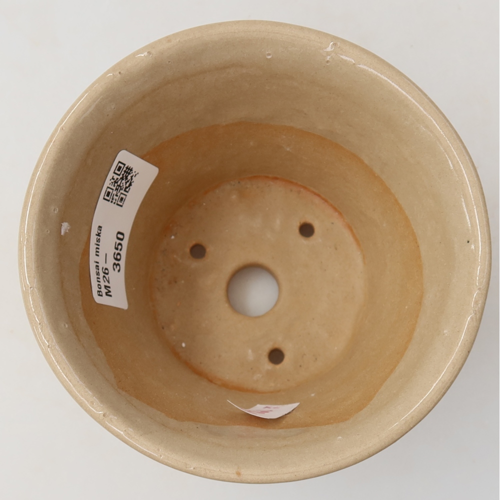 Ceramic bonsai pot, 11 x 11 x 7 cm, beige