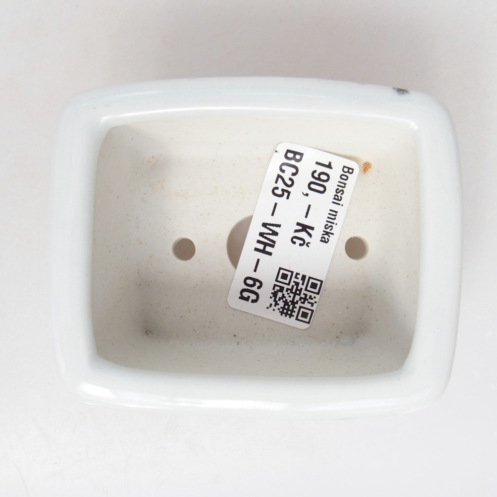Mini bonsai bowl 8 x 6,5 x 3,5 cm, white