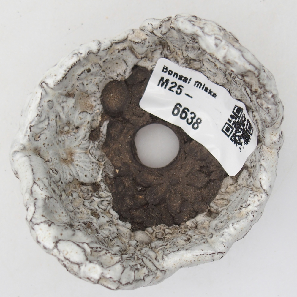 Ceramic Shell 7 x 6,5 x 5,5 cm , colour white
