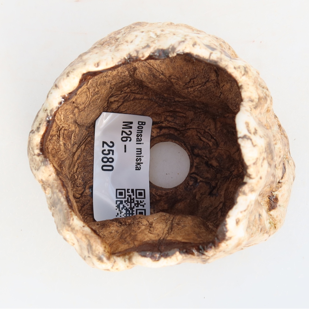 Ceramic Shell, 7 x 7 x 6 cm, white-brown