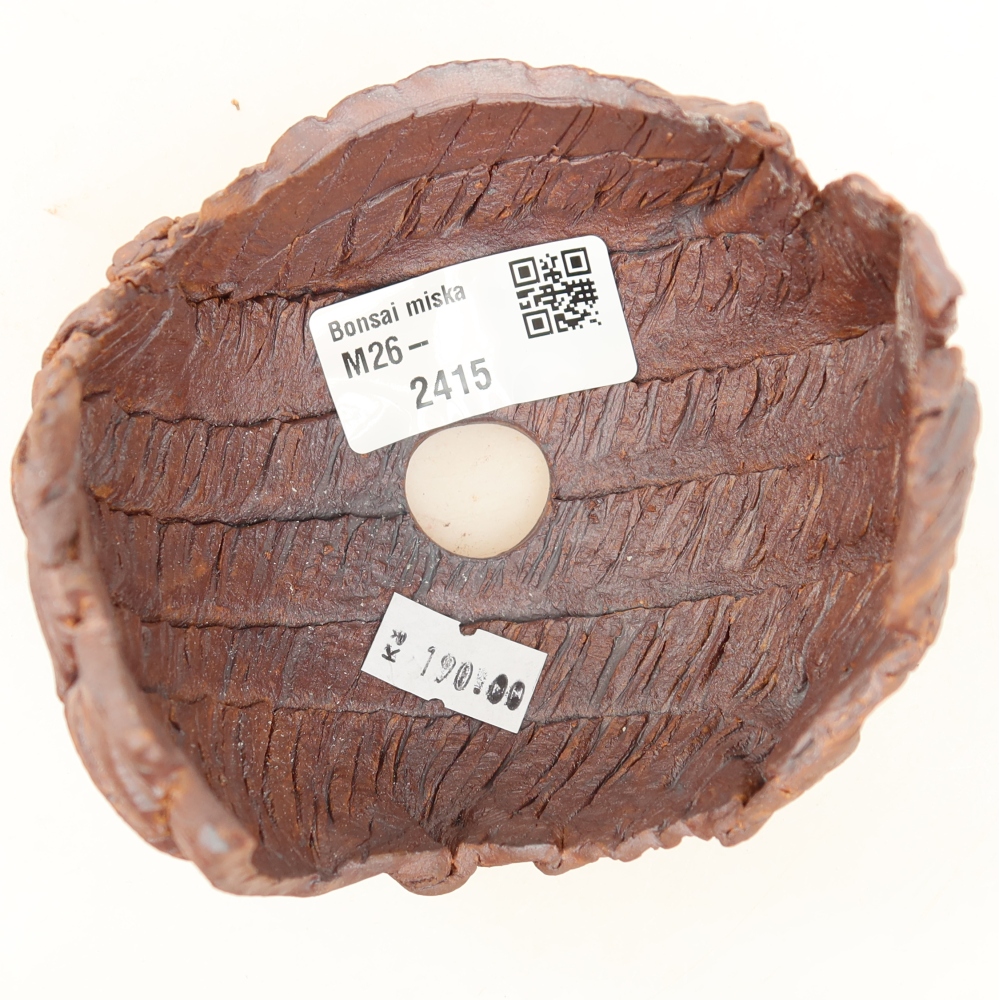Ceramic Shell, 10 x 9 x 9 cm, brown