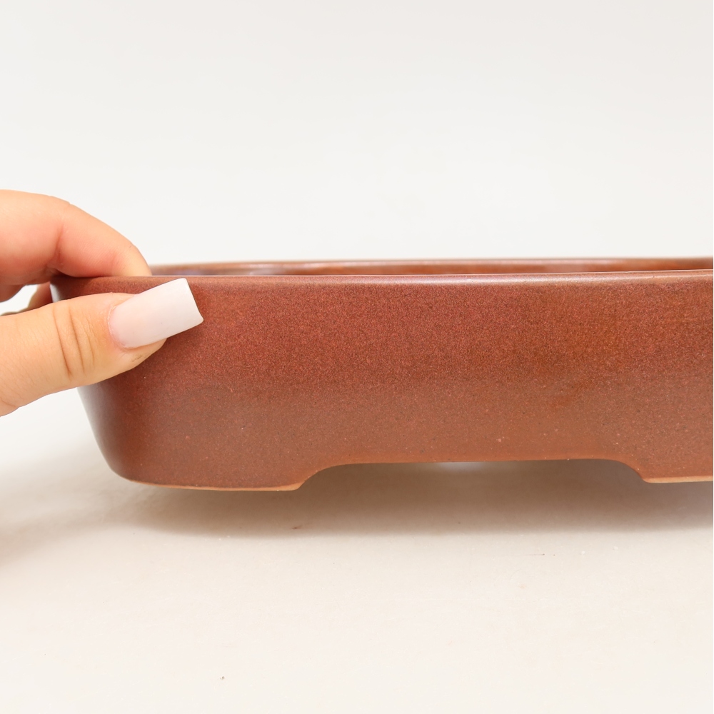 Ceramic bonsai pot, 23 x 18 x 5.5 cm, burgundy