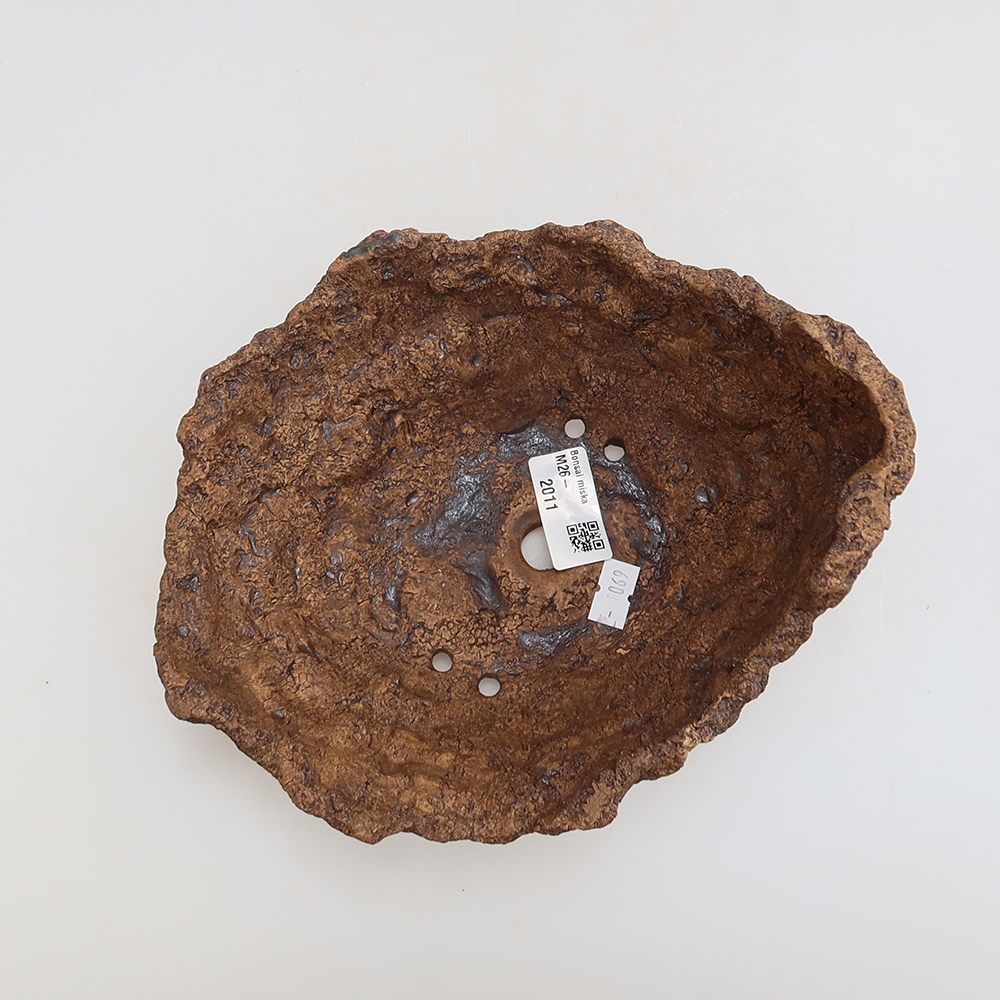 Ceramic Shell, 20 x 16 x 14 cm, brown