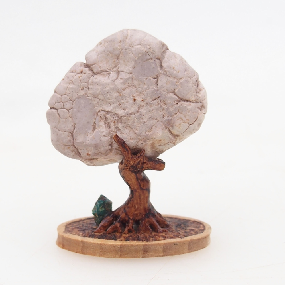 Suiseki - Stone with DAI (wooden pad)