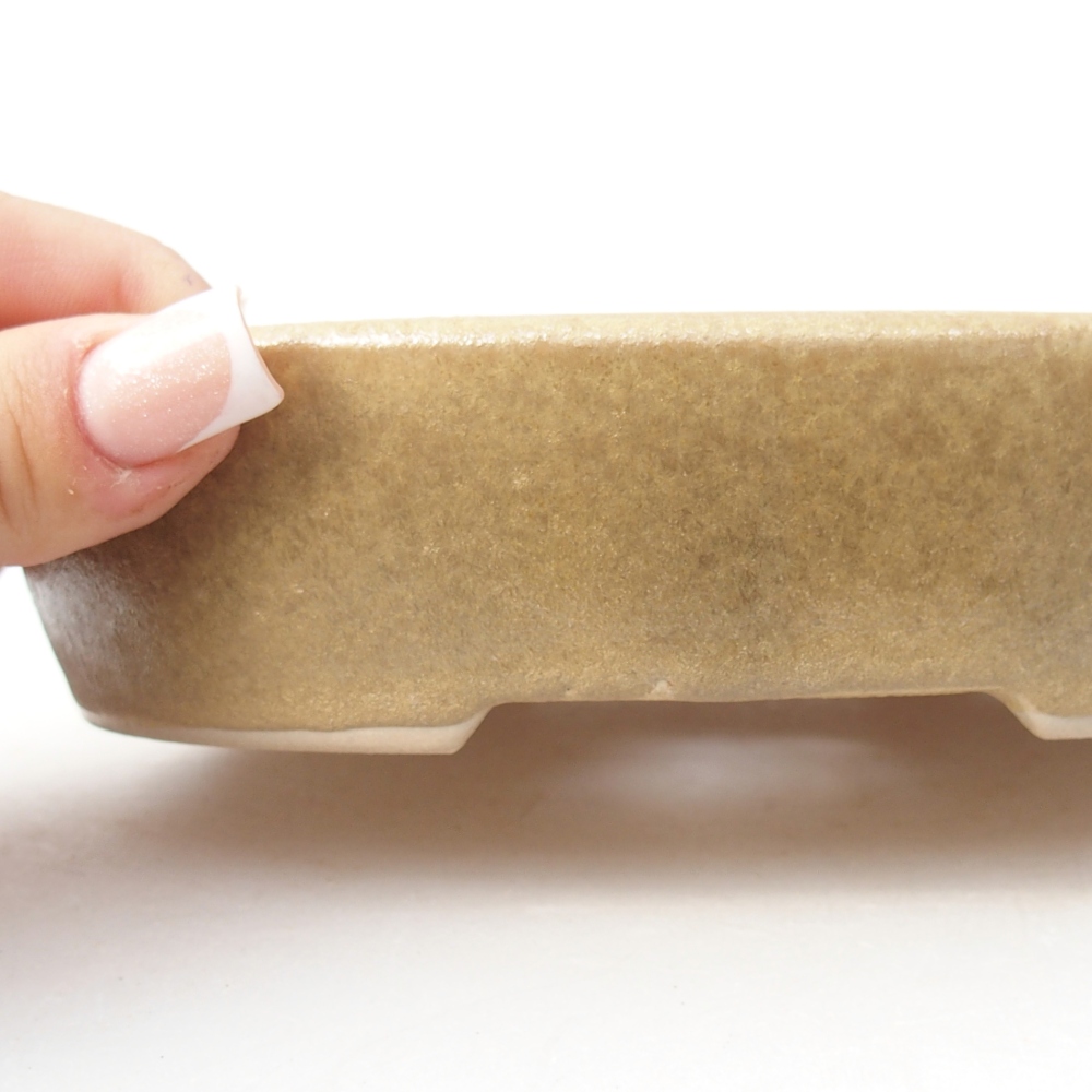 Ceramic bonsai bowl 17 x 13,5 x 4 cm, colour beige