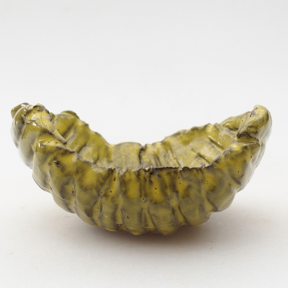Ceramic Shell 9 x 8 x 5 cm , yellow