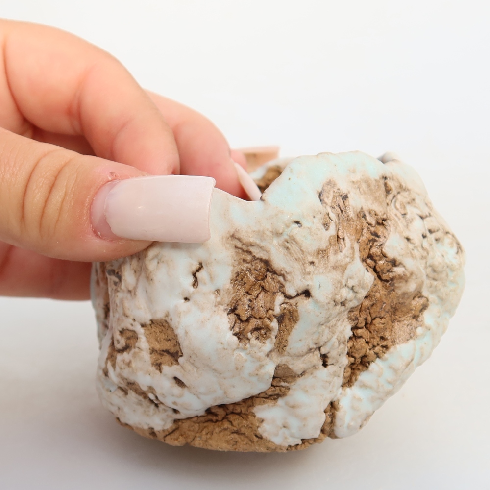 Ceramic Shell, 7 x 7 x 6 cm, white-brown